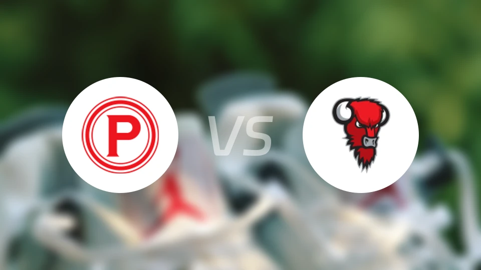 坦佩雷恩vs野牛比分预测【2026/01/16】