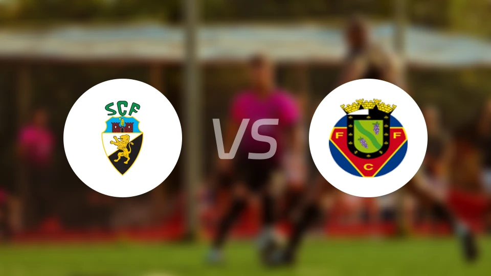 法鲁人vs费尔格拉斯比分预测【2026/03/14】