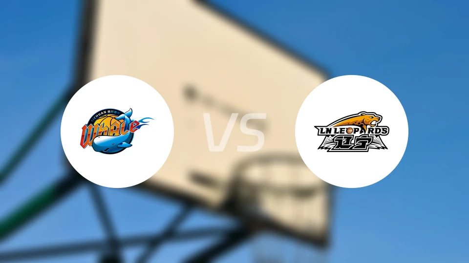 四川vs辽宁比分结果战报【2026/01/27】