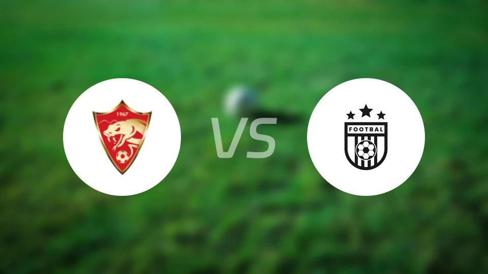 科特匹克vs奇奇卡斯特科比分预测【2026/03/09】