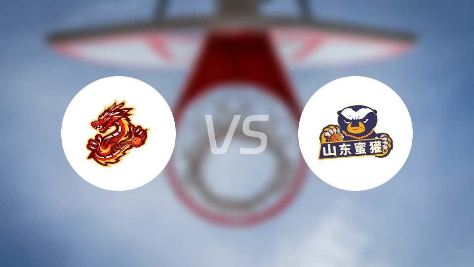 贵州猛龙vs山东蜜獾录像回放【2026/03/04】