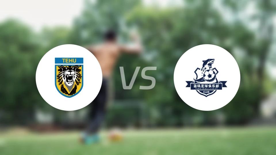 南京铁虎vs大连涵瑀录像回放【2025/11/09】