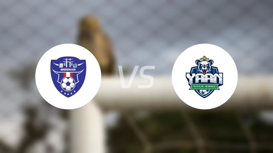 眉山队vs雅安队录像回放【2025/11/15】