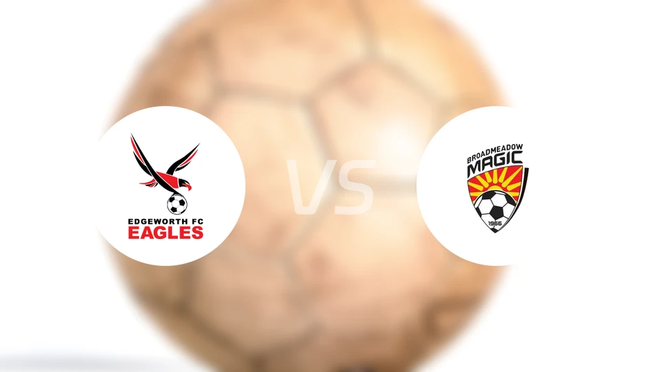 埃奇沃斯老鹰vs布罗德美度兰比分预测【2026/02/20】