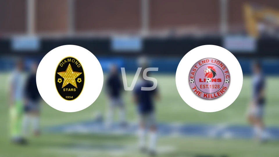 钻石星尘vs东端狮比分预测【2026/02/02】