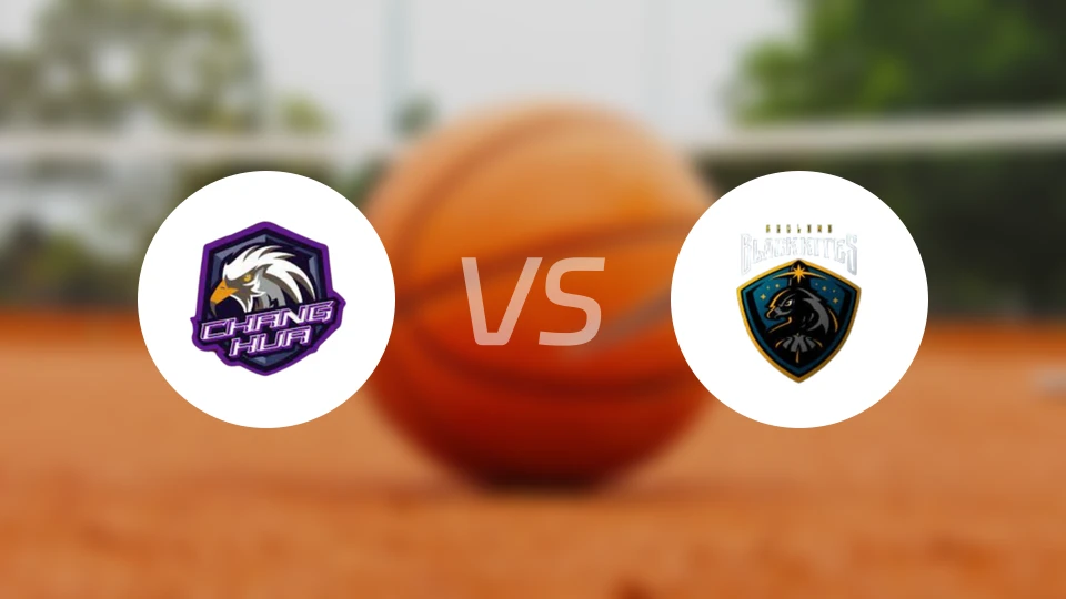 彰化柏力力vs基隆黑鸢比分预测【2026/01/17】