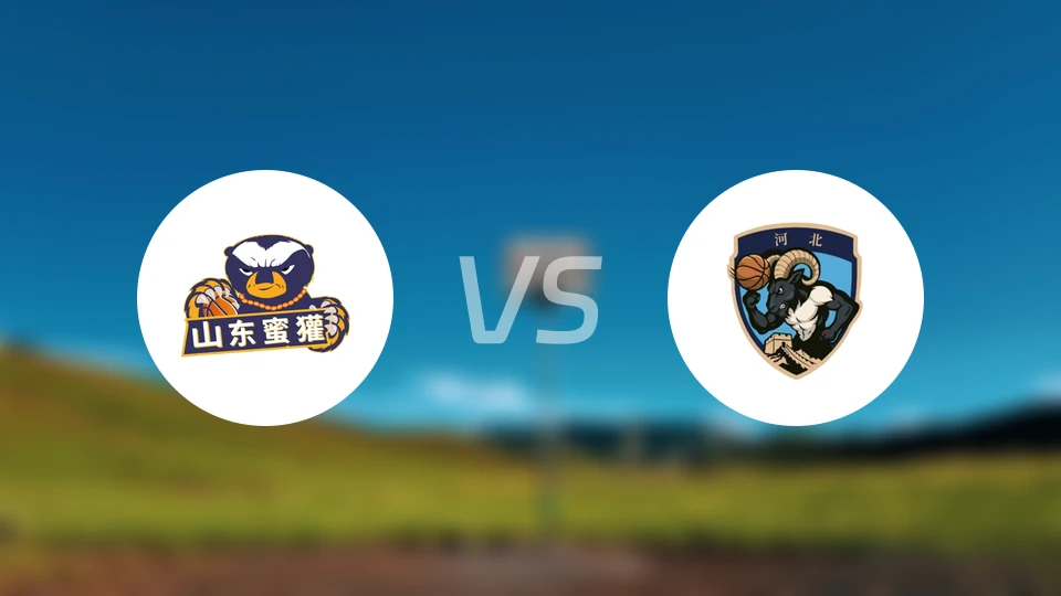 山东蜜獾vs张家口体文旅录像回放【2025/12/22】
