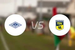 巴姆堡格vsTSV梅尔布施比分预测【2025/11/02】