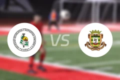 维米诺vs特罗佩松比分预测【2026/04/12】