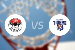 珀斯红背蜘蛛vs威尔莱顿老虎比分预测【2026/04/10】