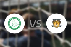 芽笼国际vs后港联队比分预测【2026/02/15】