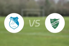 特斯蒂拉vs洛兹尼察比分预测【2026/03/08】