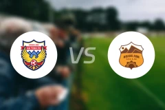 河静鸿岭vs嘉莱黄英比分预测【2025/11/04】