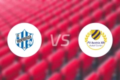 维纳伯格vs奥地利特特选B队比分预测【2024/10/12】