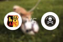 艾华乔奇vs皇家贝德福德比分预测【2025/11/15】