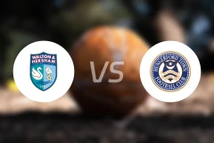 沃尔顿赫瑟姆vs亨格福德镇比分预测【2025/11/22】