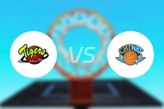 国泰人寿女篮vs中华电信女篮比分预测【2026/01/02】