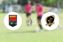 海军陆战队vs班凯联比分预测【2026/01/17】