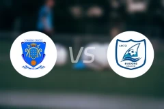 卡西诺vs布多尼比分预测【2026/03/29】