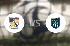 宫崎棒牛鸟vs群马草津温泉比分结果战报【2025/11/09】