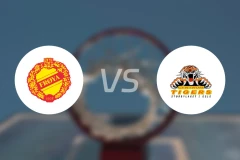 费罗耶vs辛卓老虎比分预测【2026/03/11】