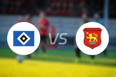 汉堡二队vs舒宁根比分预测【2026/03/29】