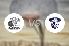 奥伯里沃东加大盗vs班克斯顿熊比分预测【2026/03/28】