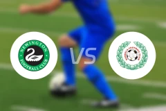 纽因顿vs邓迪拉比分预测【2025/11/15】