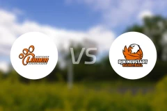 赫滕狮子vs诺伊施塔特比分预测【2026/02/08】