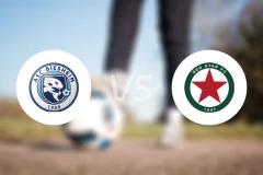 彼谢姆vs红星比分预测【2025/11/29】