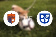 奥斯皮塔莱托vs布雷斯西亚联合比分预测【2025/11/16】