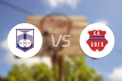 德丰索体育vs韦尔科姆比分预测【2025/12/12】