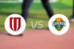 成都蓉城vs江原FC录像回放【2025/09/30】