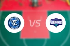 德克萨斯传奇vs格林斯伯勒蜂群比分预测【2025/12/30】