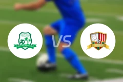 瓦马纳福vsVC勇士比分预测【2026/02/01】