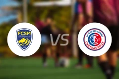 索肖vs沙托鲁比分预测【2026/01/17】