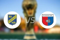 托德斯费尔德vs德罗特尔森比分预测【2024/10/20】