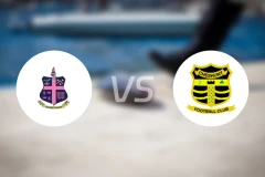 哈姆雷特vs柴斯罕特比分预测【2026/01/17】