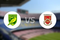 希治vs斯托桥比分预测【2024/10/19】