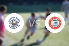 汤桥天使vs沃森比分预测【2025/11/15】