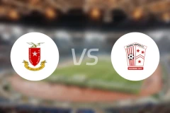 维特奥沙星城vs费古拉比分预测【2025/11/30】