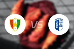 埃什特雷拉U23vs维泽拉U23比分预测【2026/01/20】