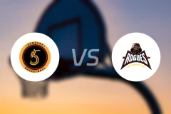 萨德伯里vs纽芬兰流氓比分预测【2026/02/20】