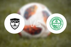 东区vs大埔比分预测【2026/04/11】