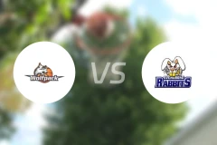 哥本哈根狼队vs斯文堡格比分预测【2025/11/01】