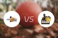 耶拿vs路德维希堡比分预测【2026/02/01】