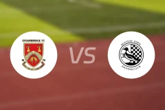 斯托桥vs罗伊斯顿镇比分预测【2024/10/12】