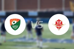 斯雷尼迪FCvs纳姆德哈里比分预测【2026/03/19】