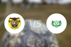 猛虎vs元素比分预测【2025/11/02】