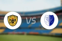 沙达卡vs阿尔希拉尔班加西比分预测【2026/03/15】